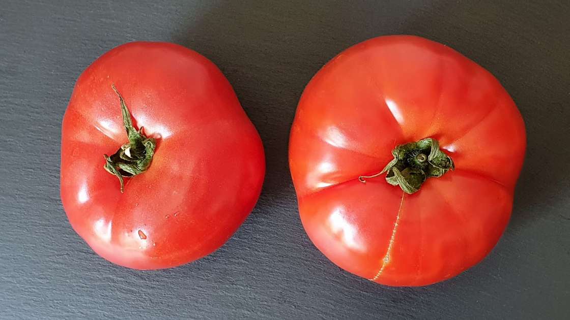 Świeży sok pomidorowy z miodem wzmacnia kości i stawy, zdjęcie 3