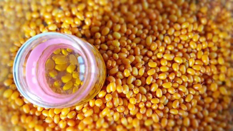 Olej z rodzynek do transferu, zdjęcie 7