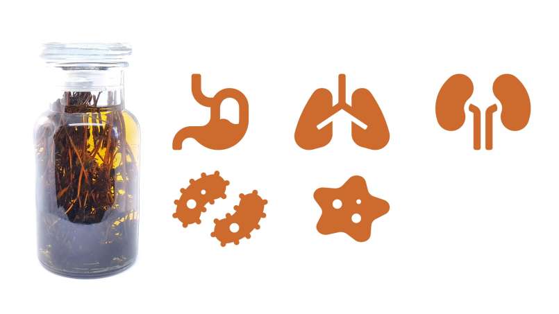 Nalewka z tymianku, zdjęcie 1