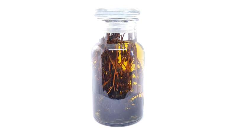 Nalewka z tymianku, zdjęcie 2