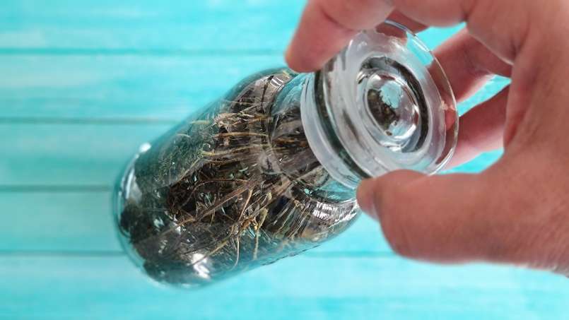 Nalewka z tymianku, zdjęcie 4