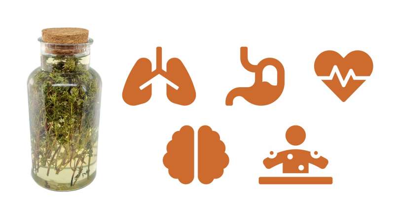 Macerat tymianku z miodem, zdjęcie 1