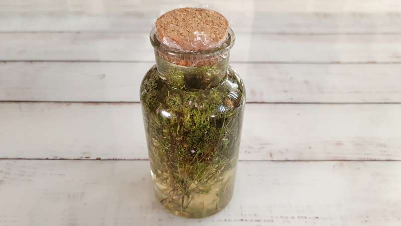 Macerat tymianku z miodem, zdjęcie 6