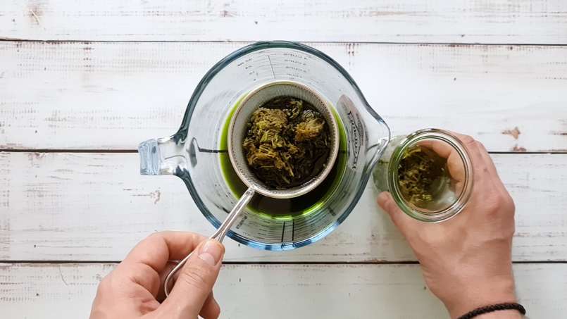 Nalewka z pokrzywy, zdjęcie 5