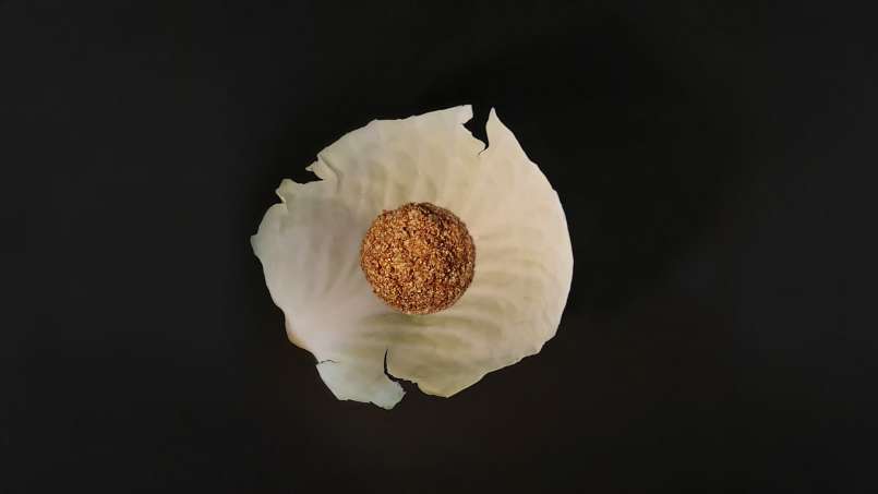 Okład z loys i liści kapusty, zdjęcie 9